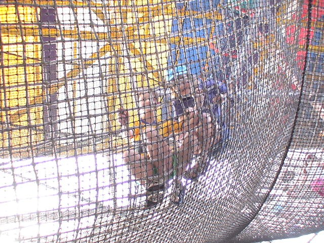 2005-11 James family trip to Florida 003.jpg