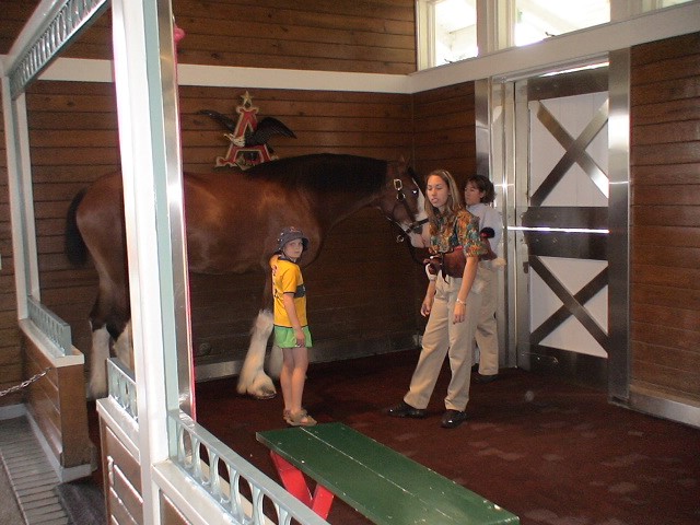 2005-11 James family trip to Florida 008.jpg