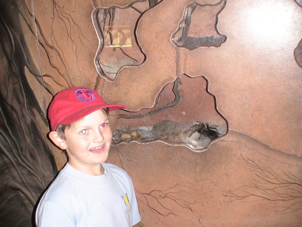 2005-11 James family trip to Florida 062.jpg