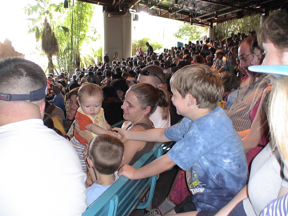 2005-11 James family trip to Florida 129.jpg