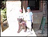 2005-11 James family trip to Florida 044.jpg