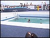 2005-11 James family trip to Florida 150.jpg