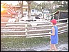 2005-11 James family trip to Florida 164.jpg