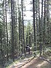 2006-07-31 to 2006-08-04 James Family Cline River Hiking Trip 048.jpg