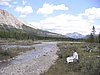 2006-07-31 to 2006-08-04 James Family Cline River Hiking Trip 082.jpg